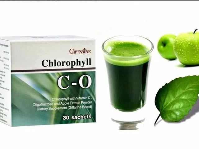 Chlorophyll: The Green Miracle Dietary Supplement You Need to Know About